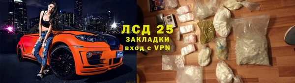 сатива Алзамай
