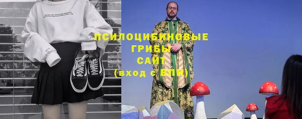 гашик Алексеевка