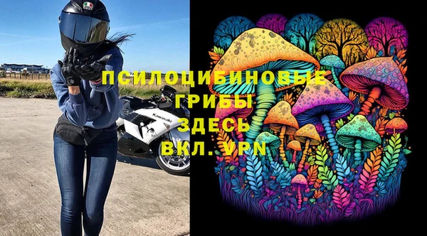 гашик Алексеевка
