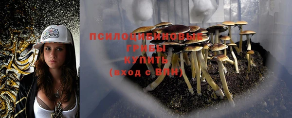 скорость Алексин