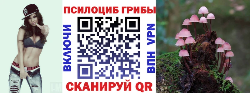 Галлюциногенные грибы MAGIC MUSHROOMS  Куртамыш 